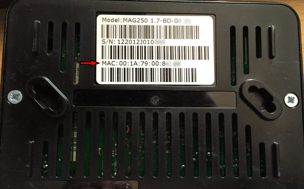 How to find MAG MAC address
